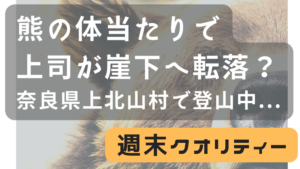 【通報】 熊の体当たりで上司が崖下落下... えっ？？？ 奈良 上北山村