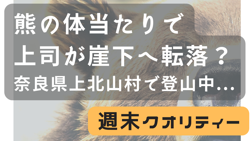 【通報】 熊の体当たりで上司が崖下落下... えっ??? 奈良 上北山村