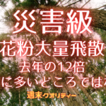 【災害級】 花粉の大量飛散…去年の12倍 非常に多いどころではない