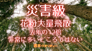 【災害級】 花粉の大量飛散…去年の12倍 非常に多いどころではない